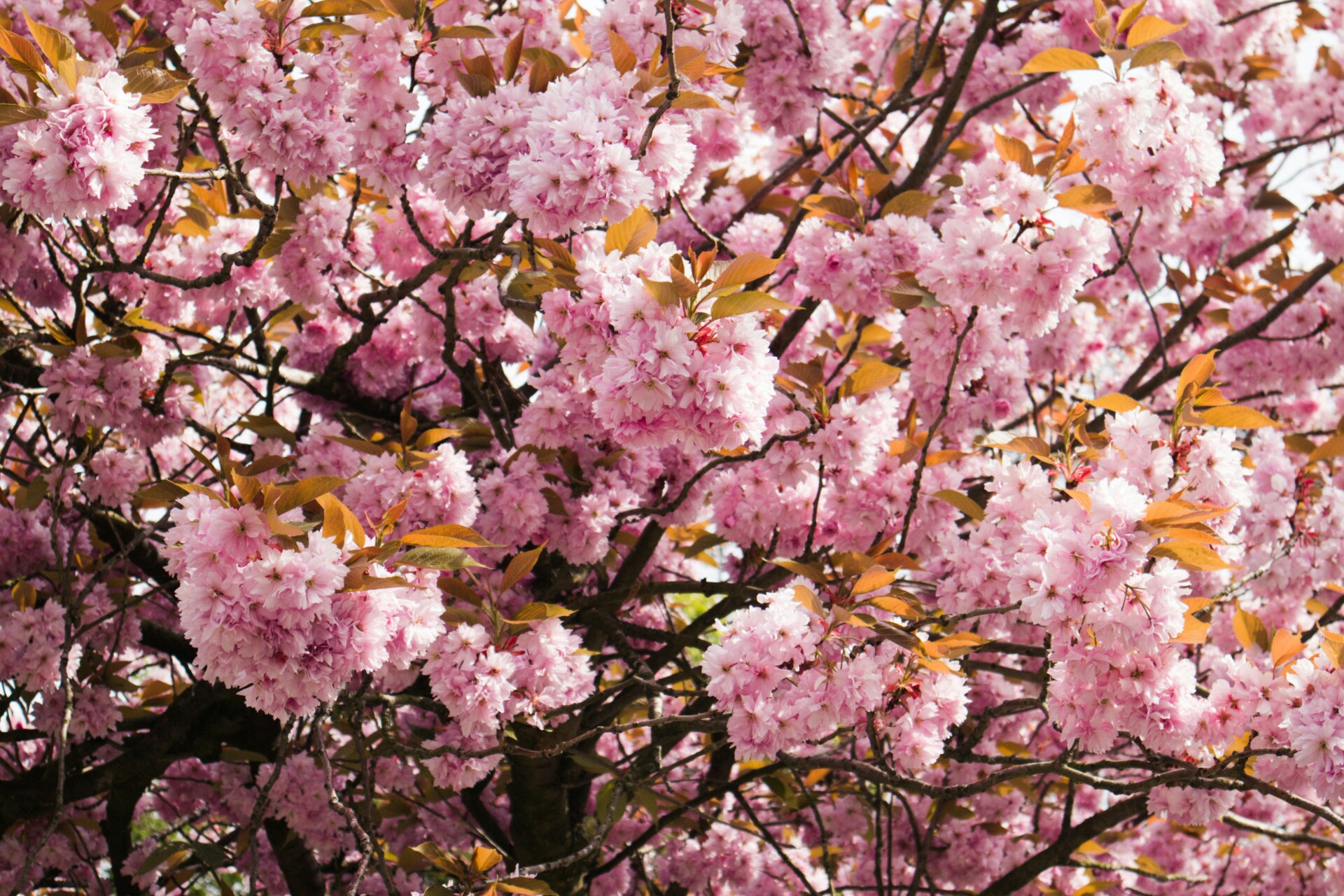 Ways to Reconnect with Yourself This Bank Holiday Weekend