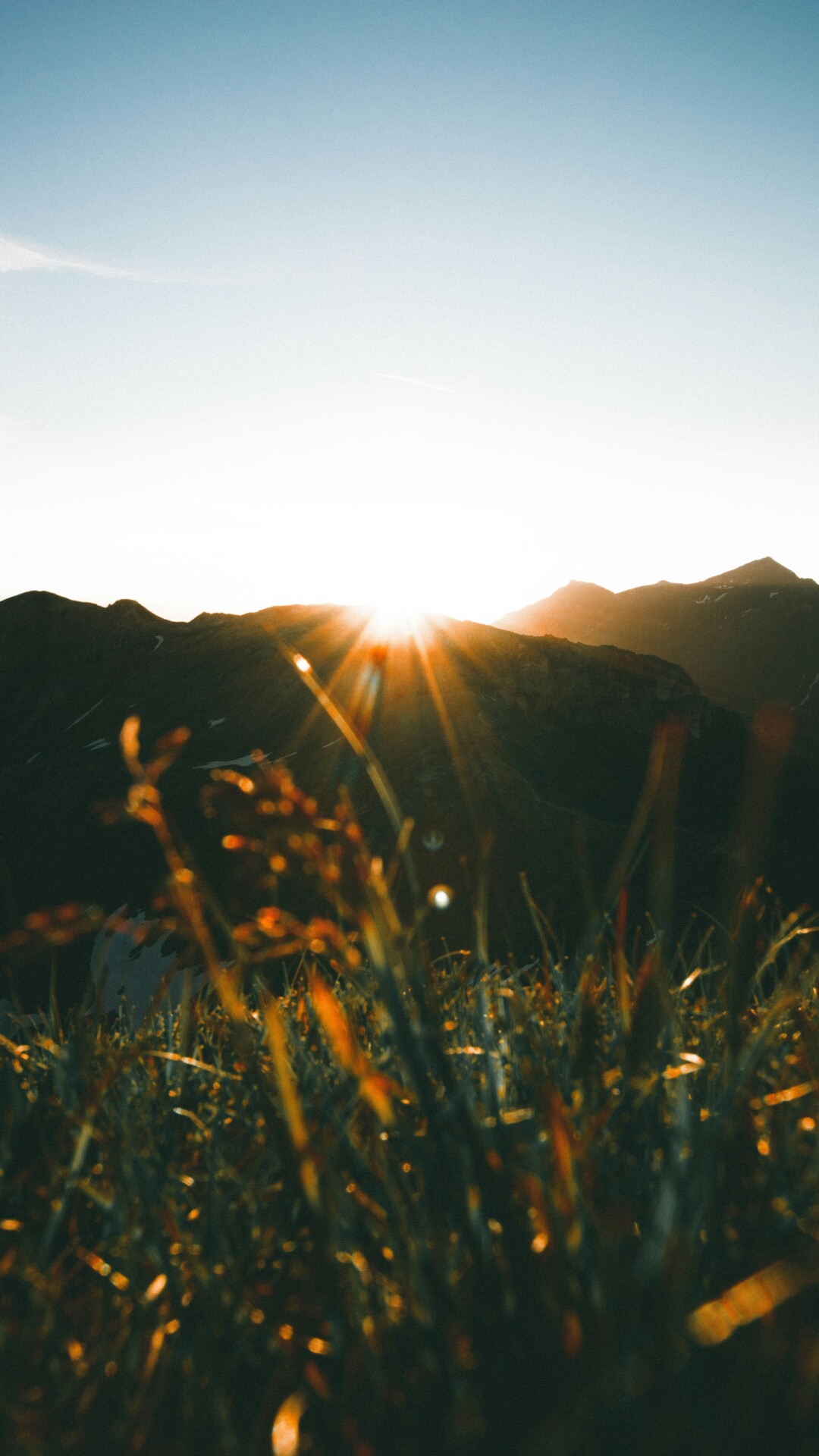 The Calm Advantage: A Practical Playbook for Work & Life