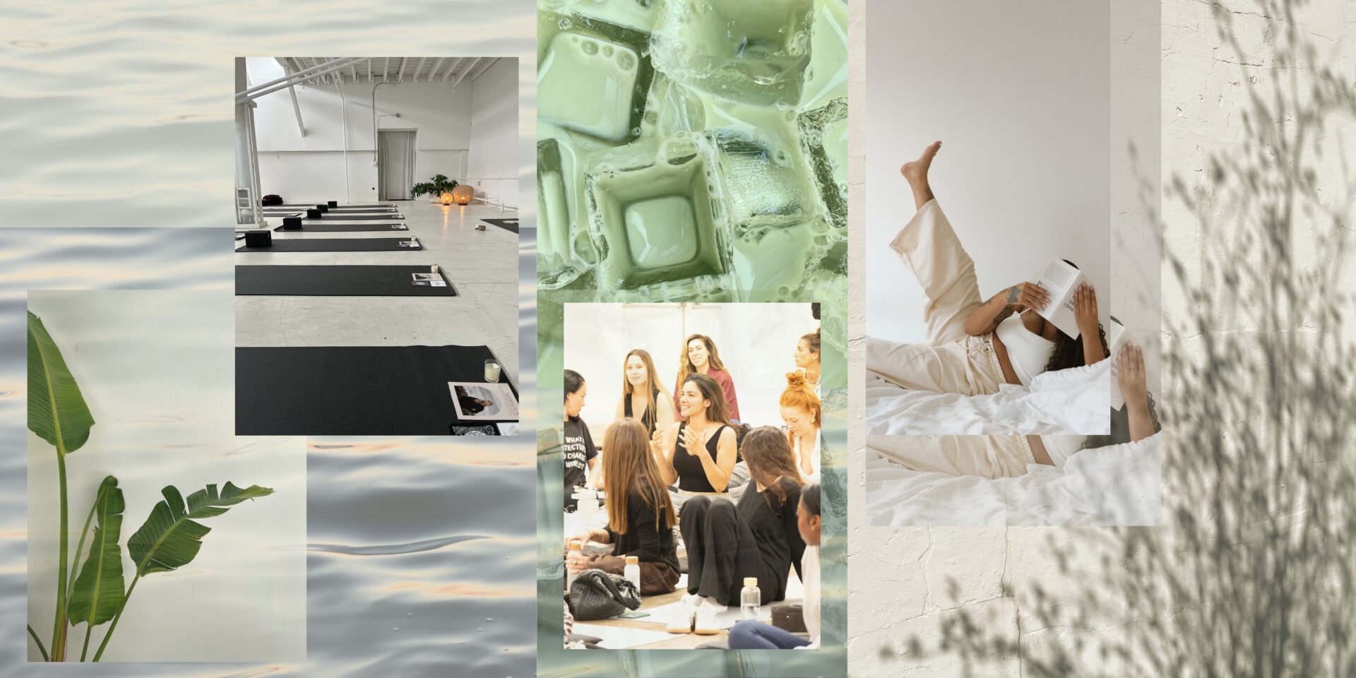 What’s On in Wellness Right Now